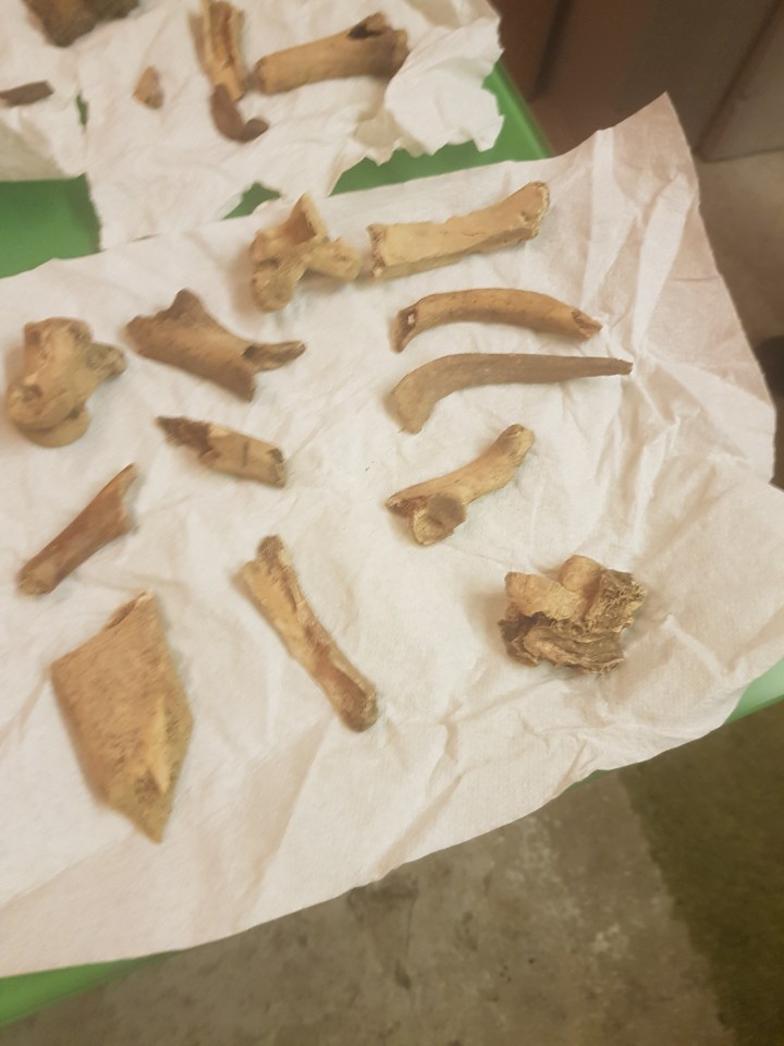 Bones were found under the staircase