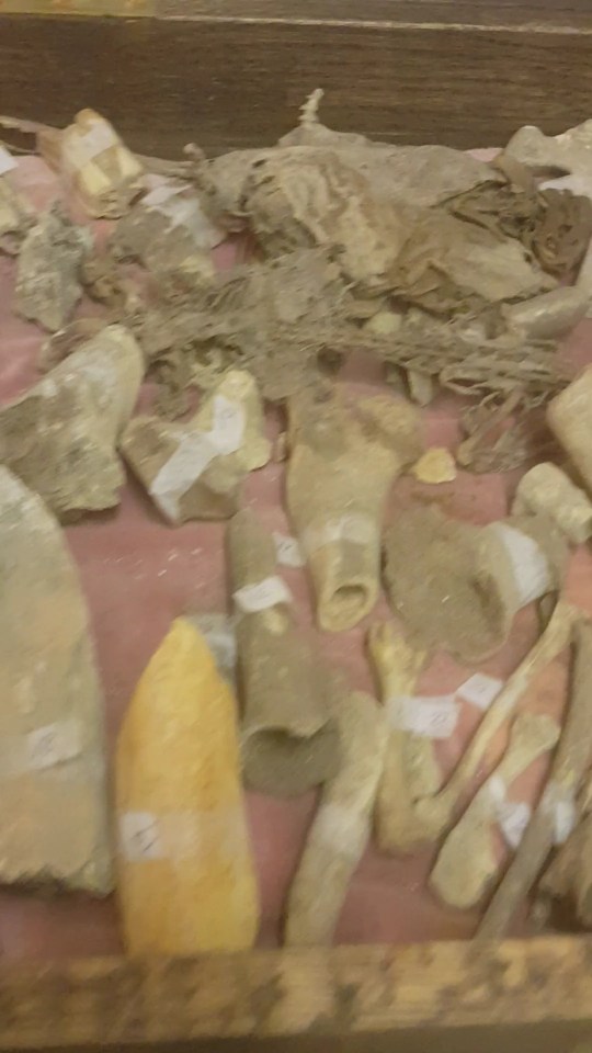 Bones and mummified rats were found in the property by Caroline's dad John