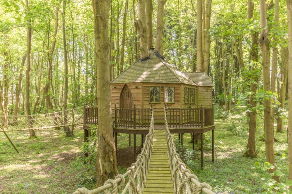 The mansion boasts a stunning outdoor treehouse