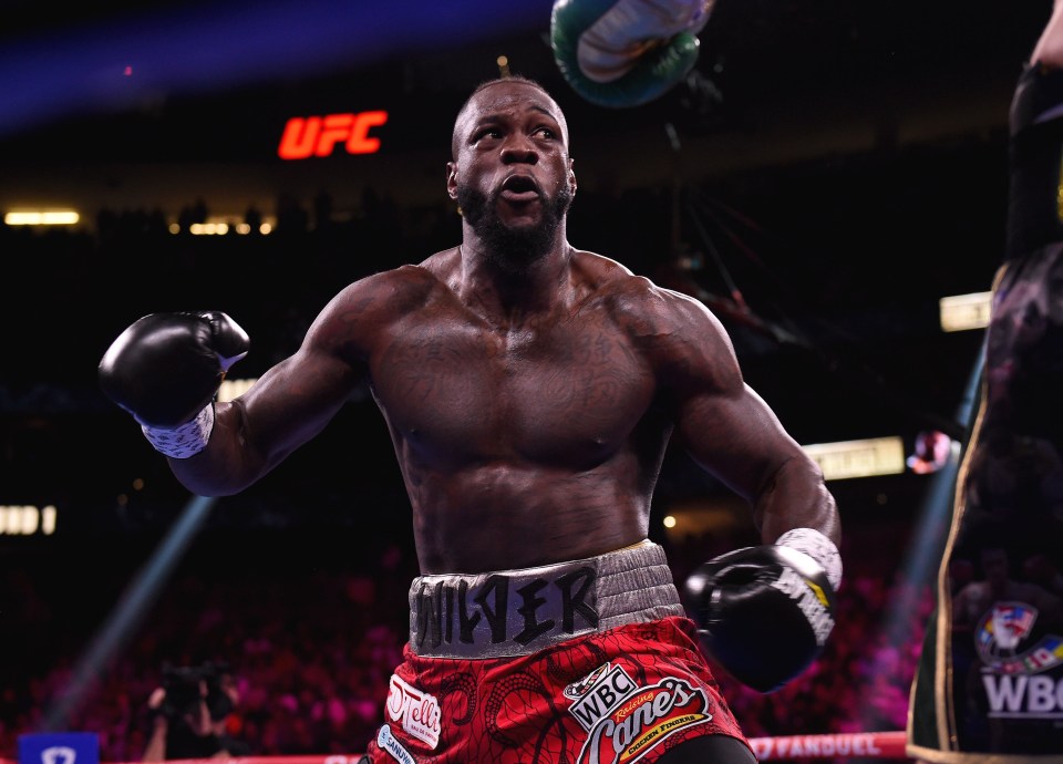 And a showdown between the fan favourite and former WBC champ Deontay Wilder has been mooted