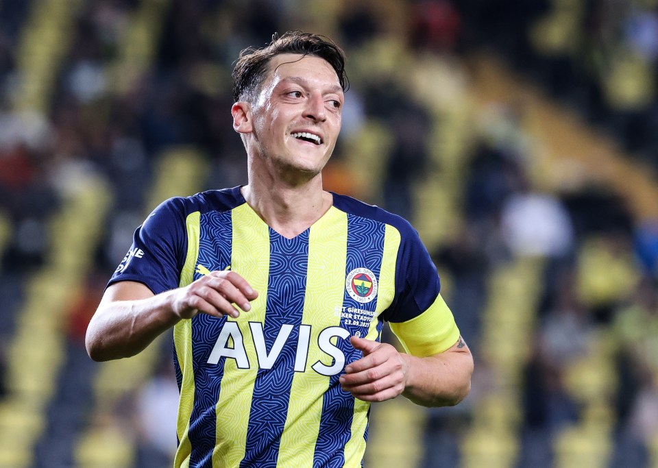 Ozil is looking to complete the purchase of Turkish club Corum