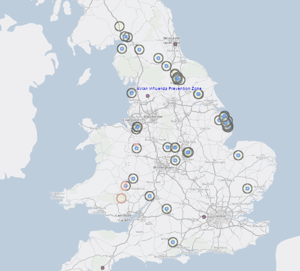 Areas in the UK where prevention zones due to infected birds have been set up