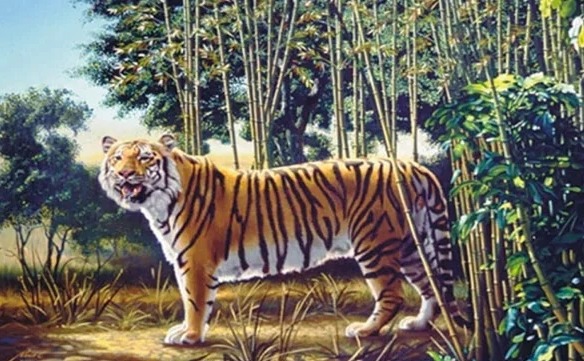 Can you find the 'hidden tiger' in this image