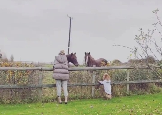 Sophie was seen meeting the horses in the neighbouring fields