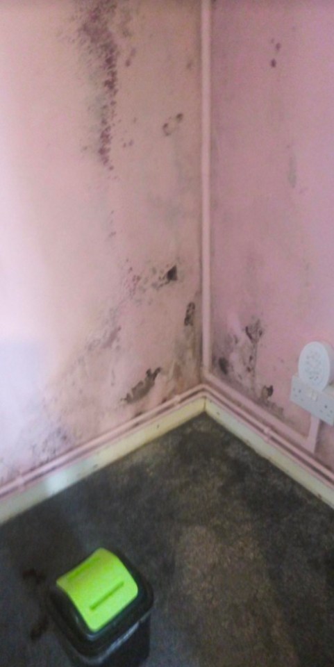 A damp problem caused mould to grow on the walls and floors of the flat