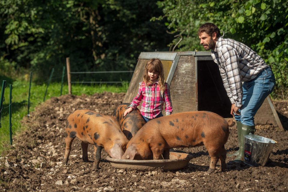 BBC's  Kelvin Fletcher's Big Farm Adventure has been a big hit with viewers