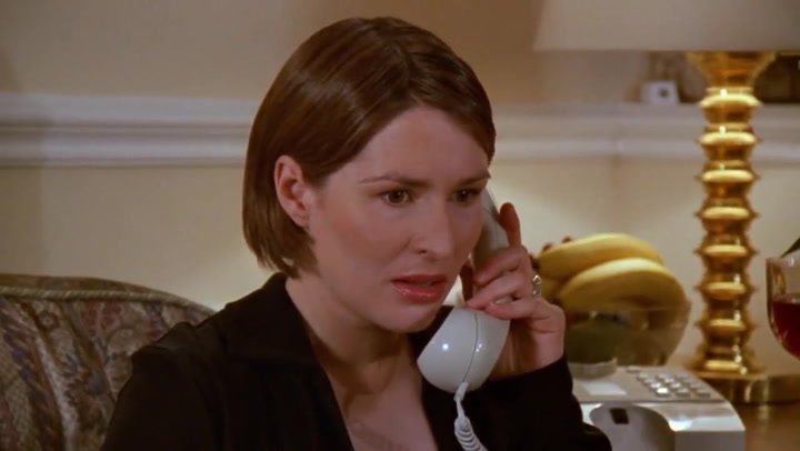 Helen Baxendale portrayed Ross Geller's controversial partner Emily in the beloved sitcom