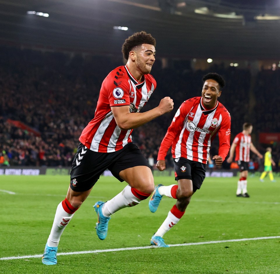 Southampton cruised past relegation-threatened Norwich on Friday night