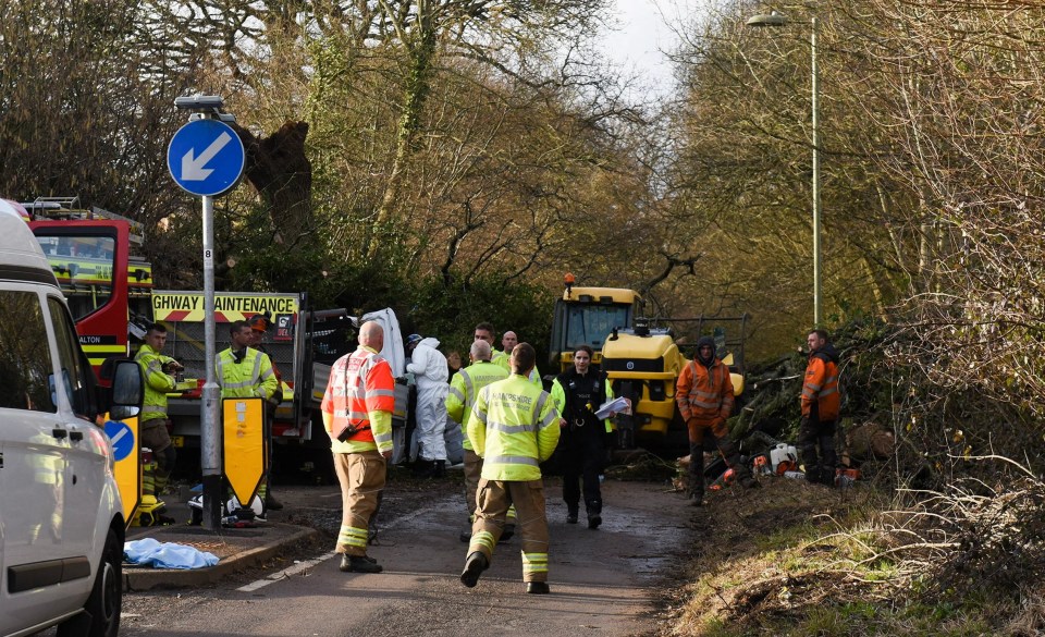 A man in his 20s was killed in Alton, Hampshire today when a tree fell on a van