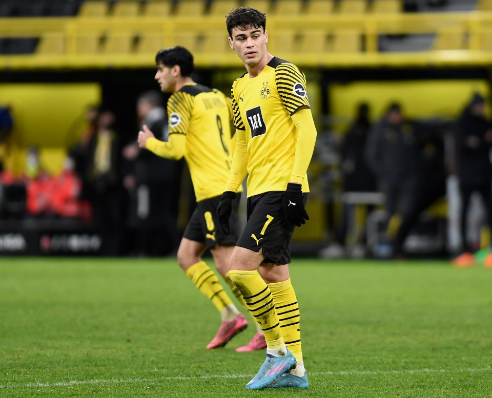 Reyna is one of Dortmund's rising stars