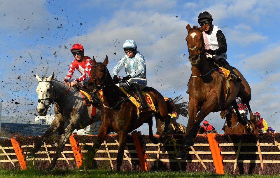 Paddy Power - Get £50 in free bets plus £10 Cheltenham Festival bonus