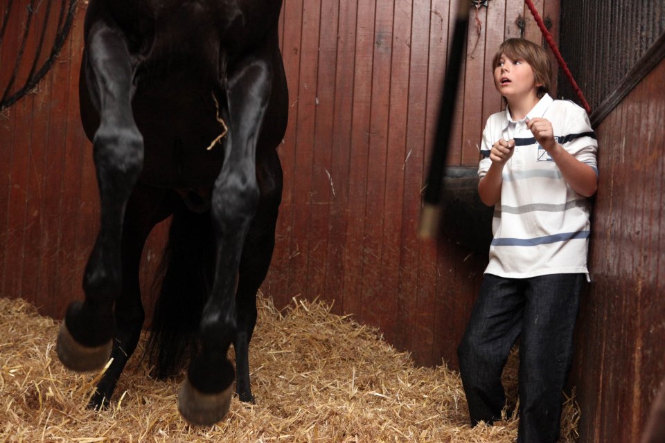 Will tries to calm down the horse but as it starts rearing he calls for help