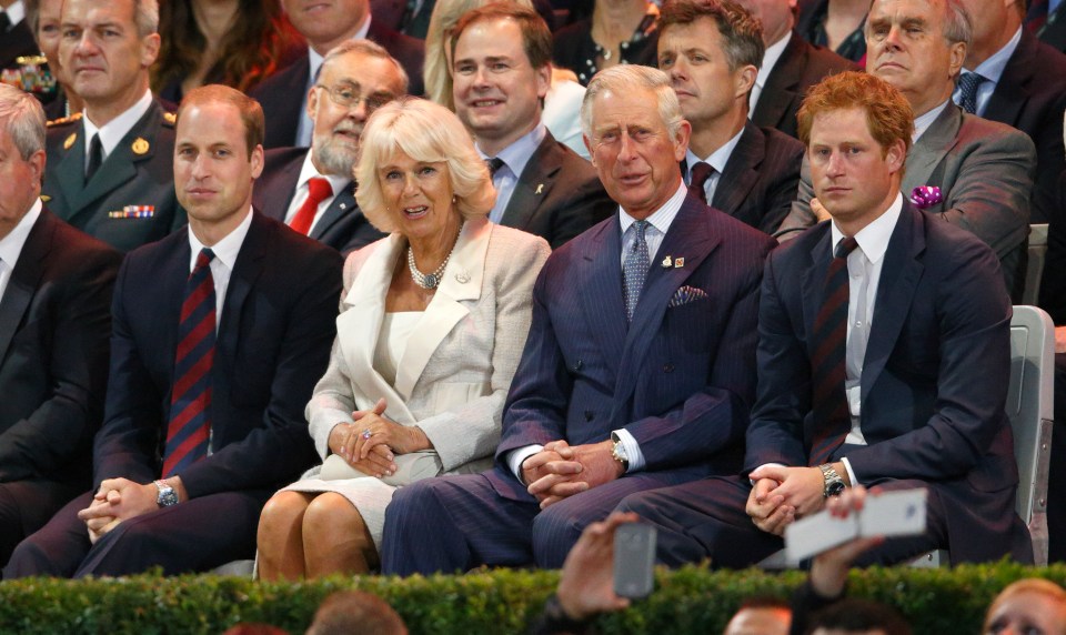 Harry has not mentioned the news that Camilla is set to become Queen Consort