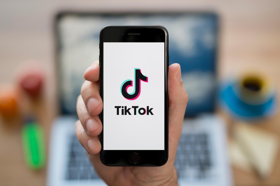 Searching for the duo’s names on TikTok returns a page that says: ‘This phrase may be associated with behaviour or content that violates our guidelines’