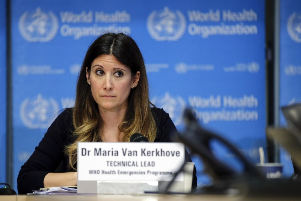 Dr Maria Van Kerkhove, the World Health Organization COVID-19 Technical Lead, pictured in March 2020, said BA.2 is no more severe than BA.1