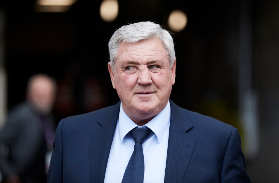 Steve Bruce has been appointed West Brom's new manager