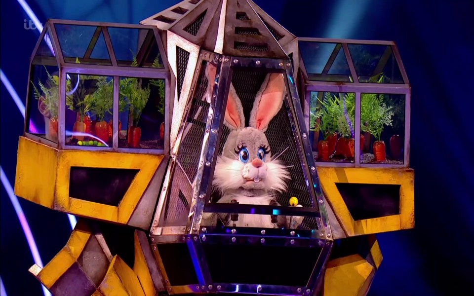 Is the Masked Singer's Robobunny actually Jason Derulo?