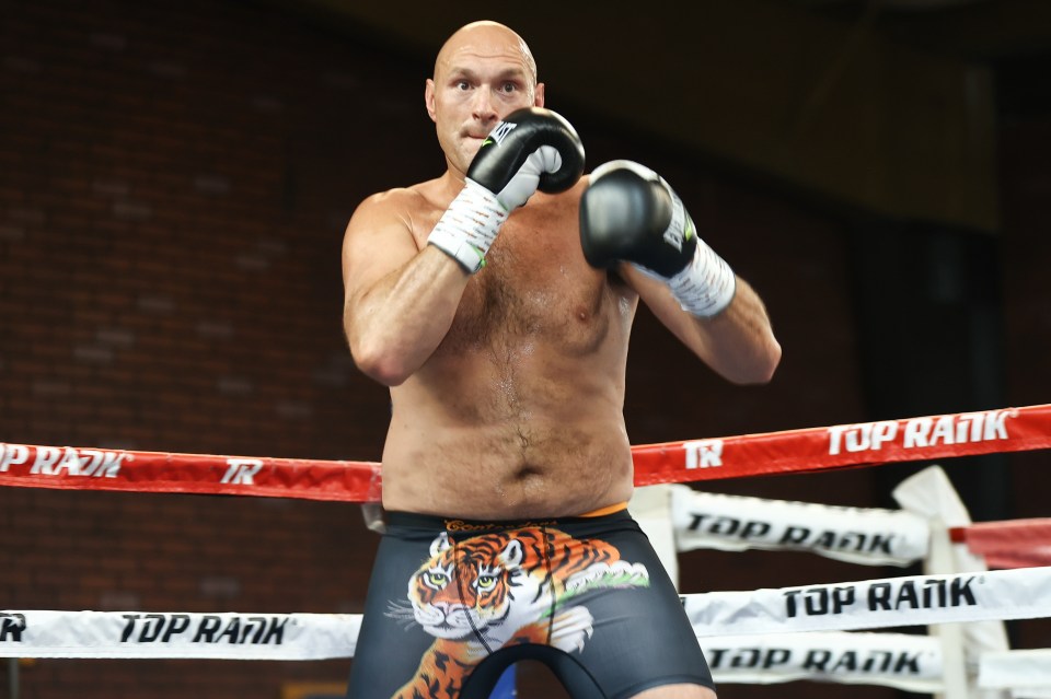 Tyson Fury accused Dillian Whyte of giving him the silent treatment