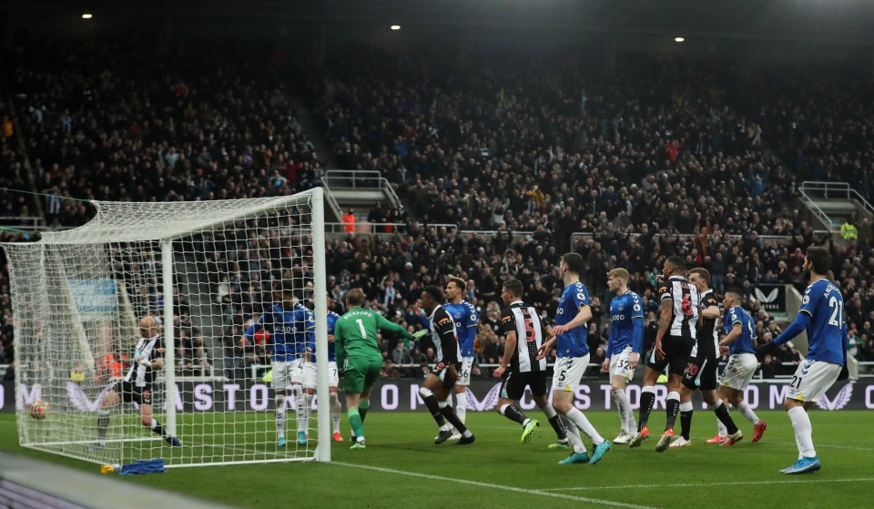 Everton defender Mason Holgate bundled an own-goal leveller for Newcastle