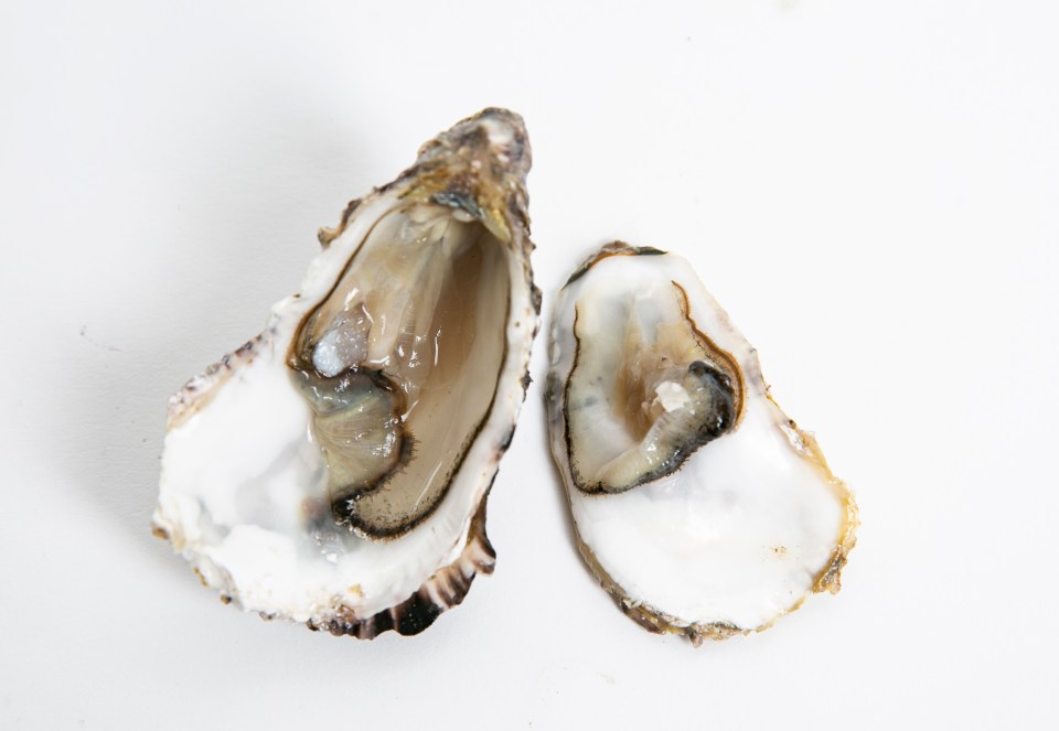 Six Scottish Loch Fyne Oysters, £5.99, waitrose.com