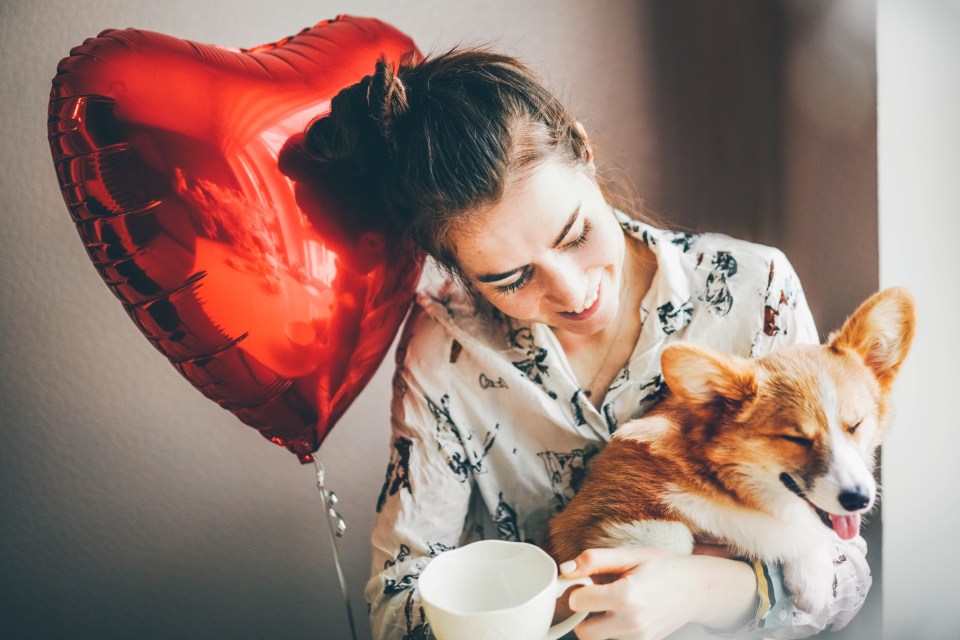 More than half of pet owners intend to mark Valentine's Day with their furry friend