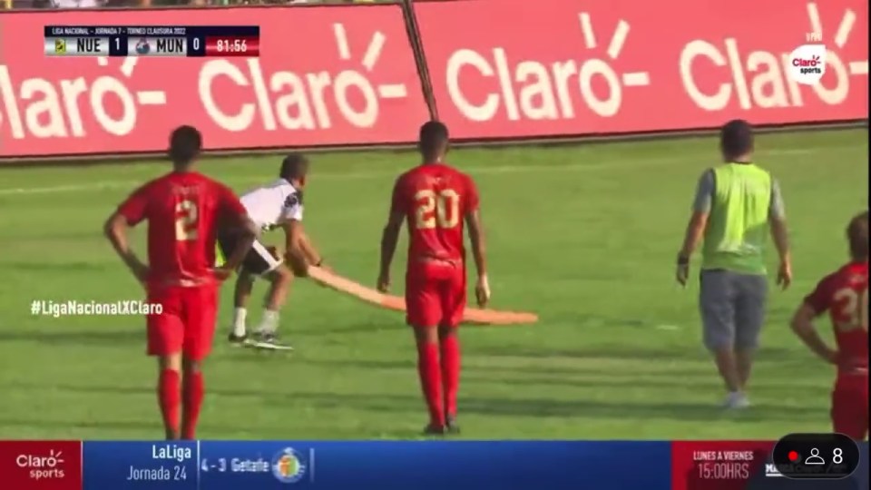 Play was halted during a Guatemalan match because of a snake on the pitch