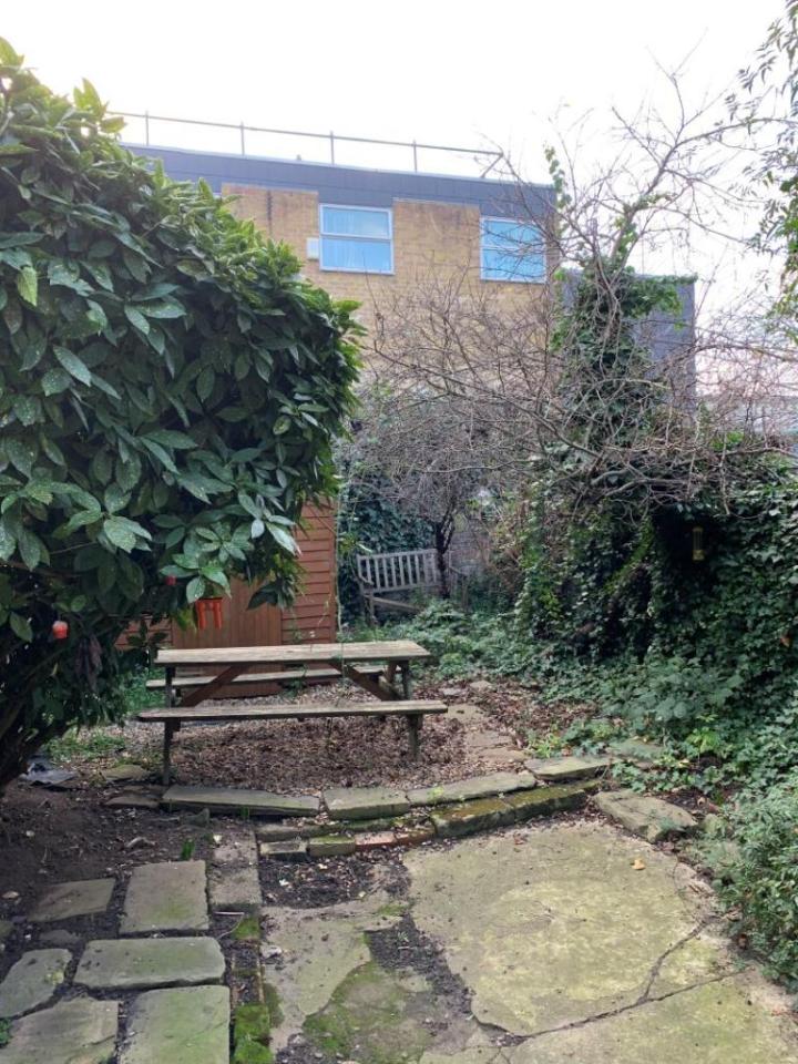 A garden with overflowing greenery and old benches