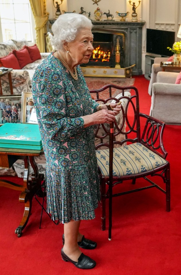 The Queen will carry on with light duties - like going through her red box every day and speaking to ambassadors via video link