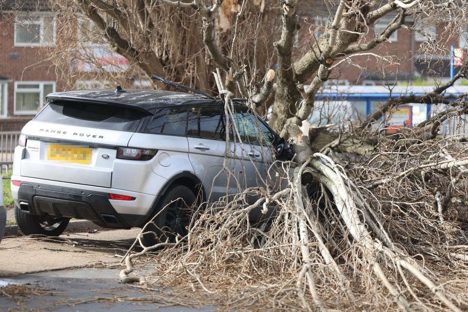 Trees have fallen across the nation, causing four tragedies in England and Ireland