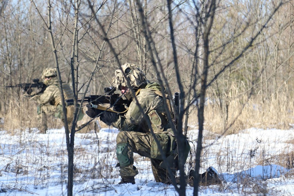 Ukrainian Air Assault Forces take part in tactical drills