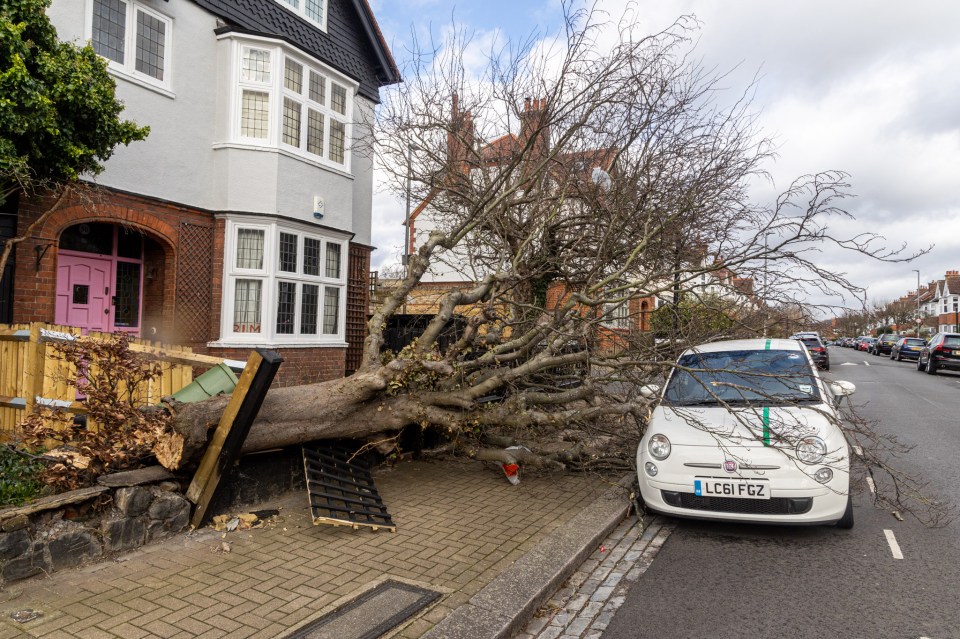 Storm Eunice caused havoc across the country on Friday