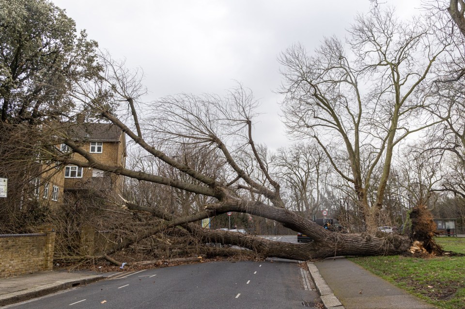 Four people died during the worst winter storm in a generation