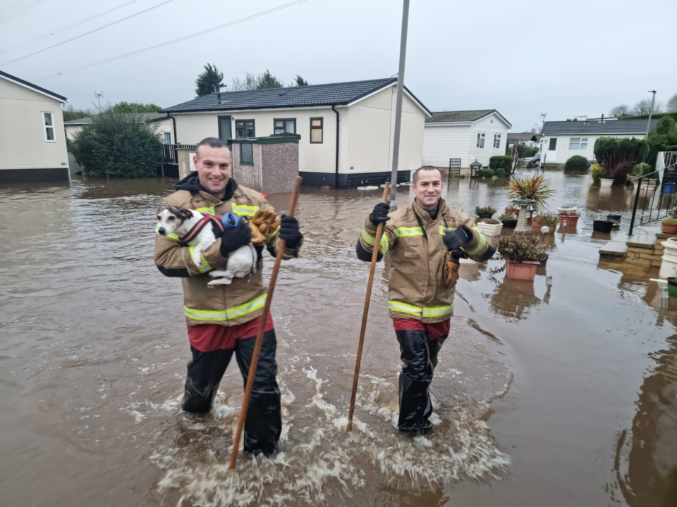 North Yorkshire Fire and Rescue Service saving a dog from the floods on Sunday