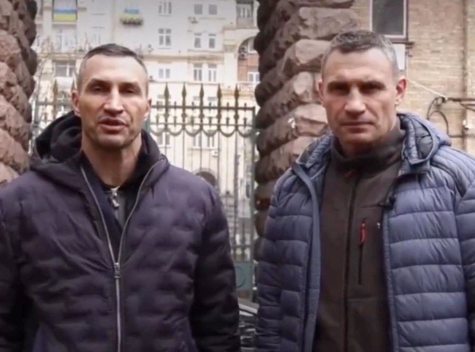 Wladimir and Vitali Klitschko have asked the world to unite and support Ukraine