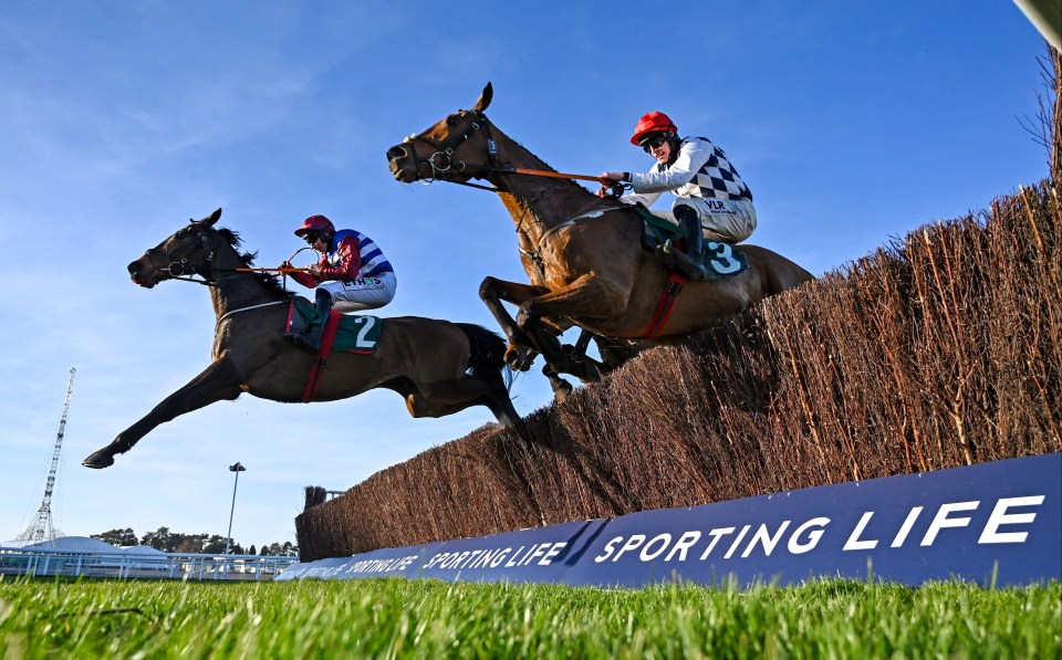 The National Hunt Chase can be a gruelling affair