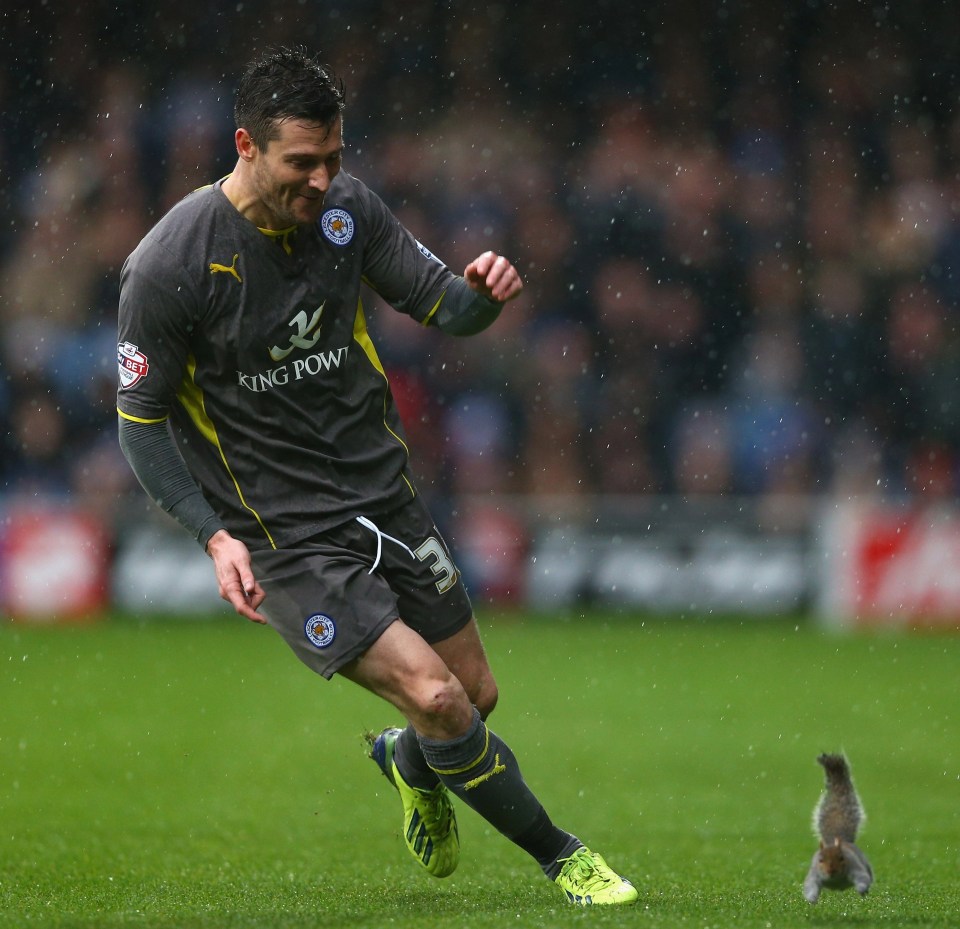 David Nugent turned pest controller as he chased the squirrel at QPR