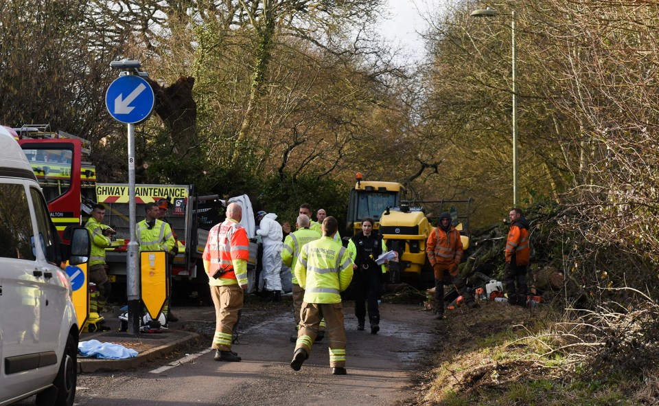 Four people have died after trees fell in Alton, Hampshire - pictured above - Haringey in London, Co Wexford in Ireland and Netherton, Merseyside