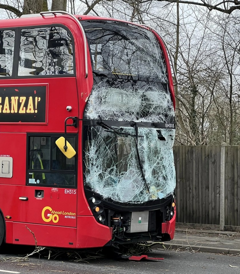 Strong winds blew a tree into the front of a bus in Biggin Hill