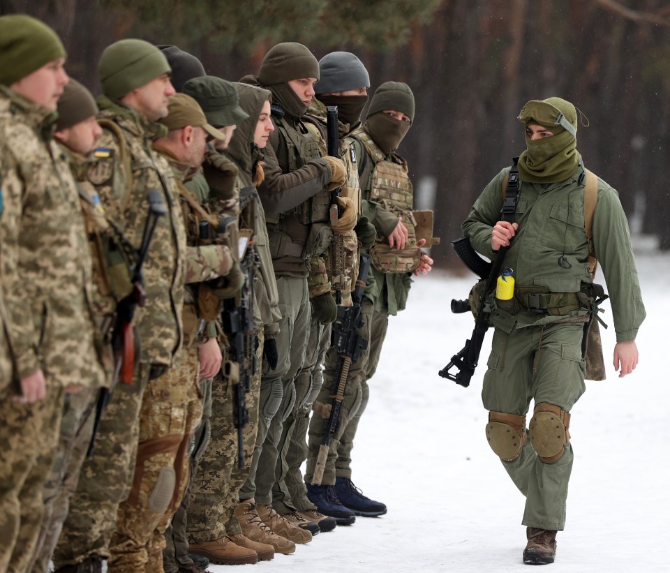 Ukraine's defense force are a back-up civilian army