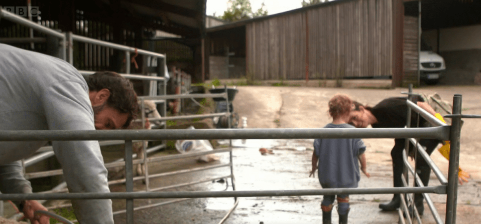 Milo, three, got accidentally sprayed with poo and water as Kelvin tried to clean up the animal