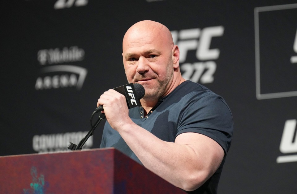 And UFC president Dana White sees serious star potential in The Baddy