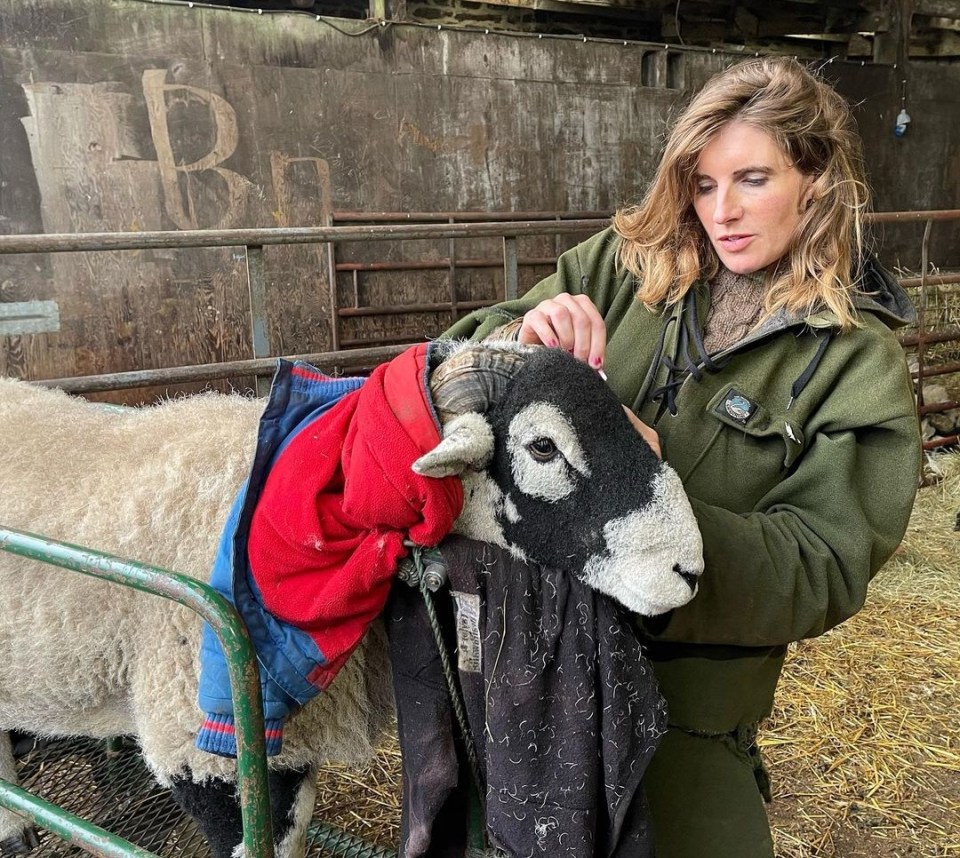 The famous farm is closed for two months for lambing season