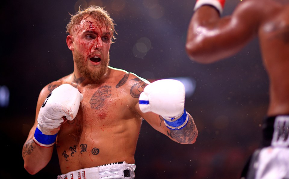 Jake Paul blasted Conor McGregor's 'embarrassing' training footage