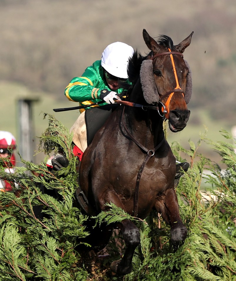 Cottin trained Easysland, who won at the Cheltenham Festival in 2020