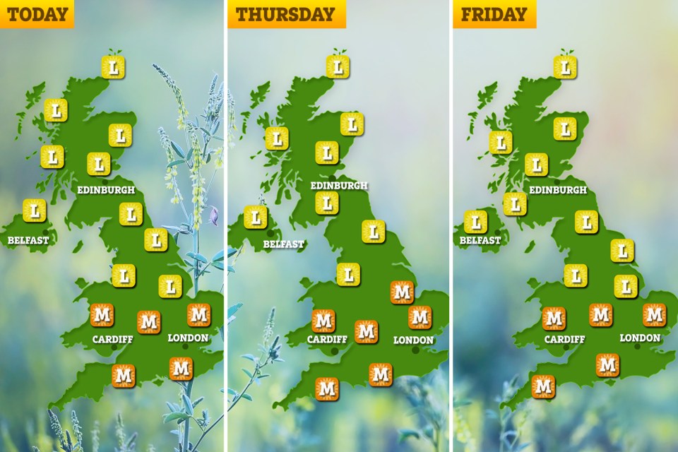 The maps above show pollen levels across the UK for the next three days