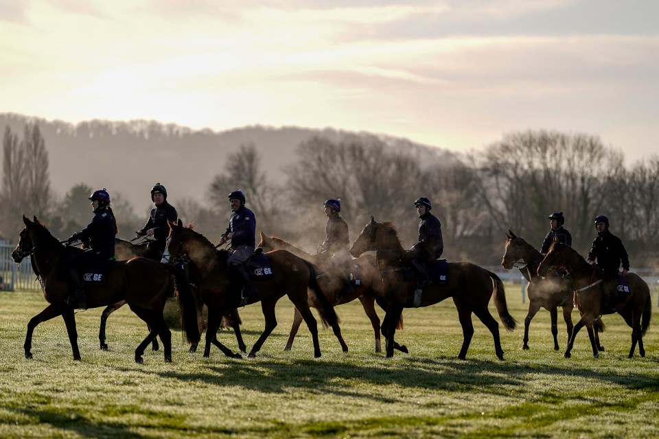 The preparations for Cheltenham Festival are over