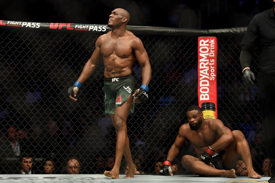 Kamaru Usman became UFC welterweight king in March 2019