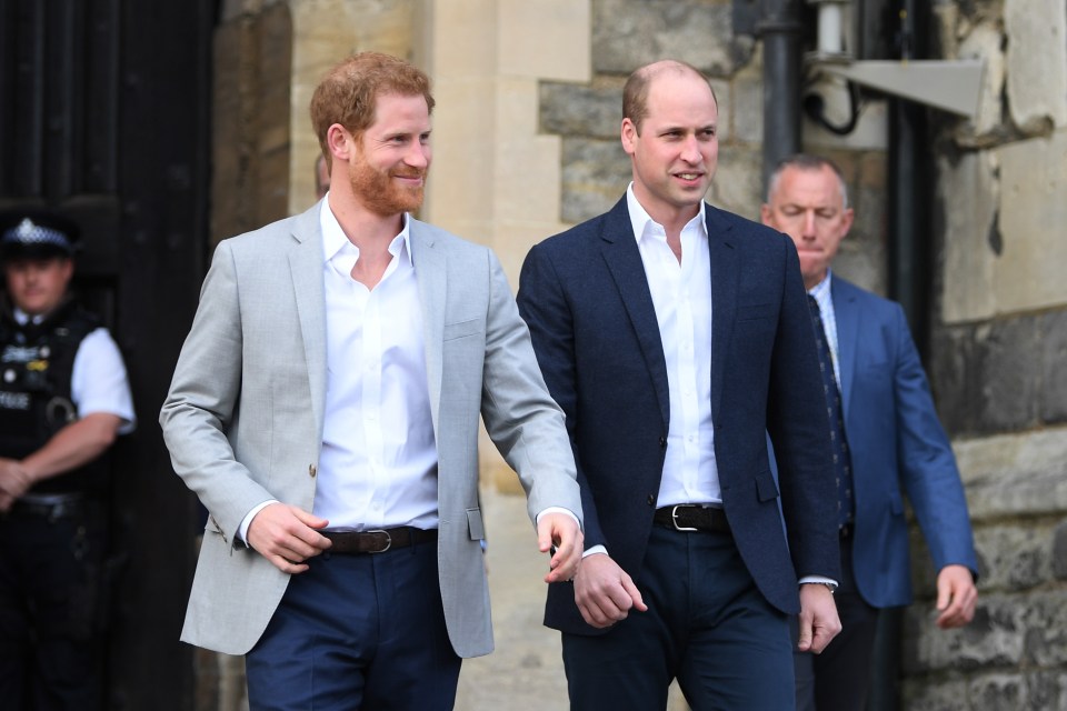 Prince Harry has been a vocal campaigner for a number of causes since quitting royal life