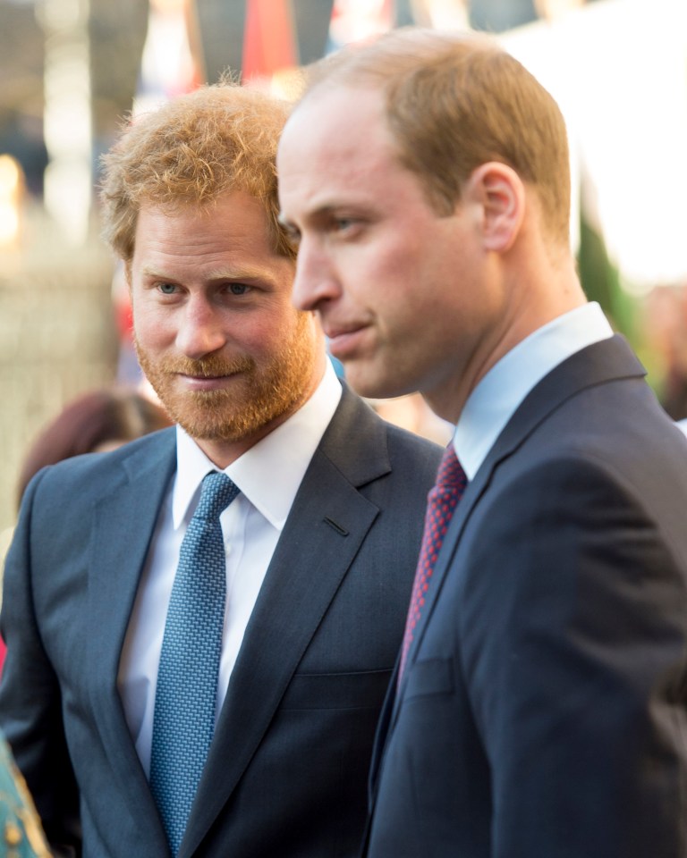 Prince William's comment about 'not telling people what to do' was a subtle dig at Prince Harry, an expert has said