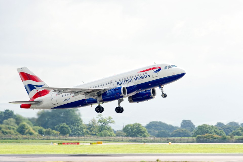 Nothing felt out of the ordinary compared to previous British Airways flights - the seats weren't smaller, luggage wasn't trimmed back and the food was the same airline options as usual